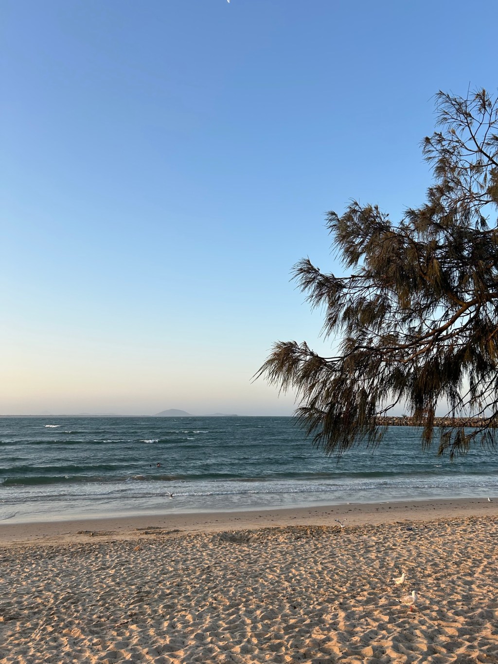 Goals and Ins & Outs for&nbsp;2026